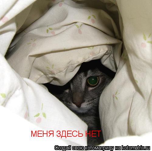 МЕНЯ ЗДЕСЬ НЕТ... Котоматрица: МЕНЯ ЗДЕСЬ НЕТ