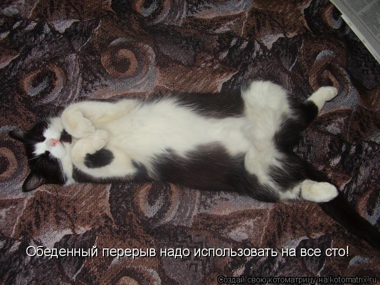 Обеденный перерыв надо использовать на все сто!... Котоматрица: Обеденный перерыв надо использовать на все сто!