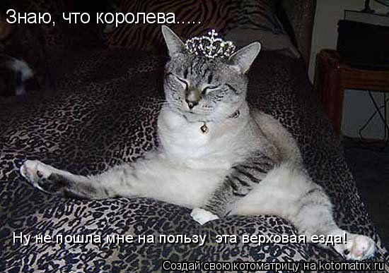 Знаю, что королева..... Ну не пошла мне на пользу эта верховая езда!... Котоматрица: Знаю, что королева..... Ну не пошла мне на пользу эта верховая езда!
