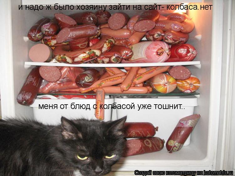 и надо ж было хозяину зайти на сайт- колбаса.нет меня от блюд с колбасой уже тошнит..... Котоматрица: и надо ж было хозяину зайти на сайт- колбаса.нет меня от блюд с колбасой уже тошнит..