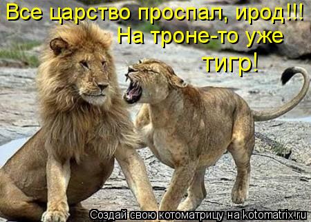 Котоматрица: На троне-то уже  тигр! Все царство проспал, ирод!!!