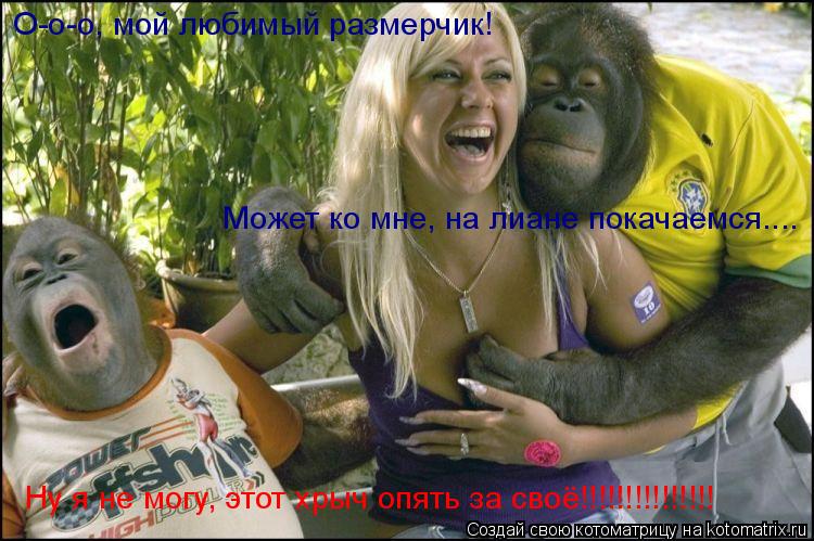 О-о-о, мой любимый размерчик! Может ко мне, на лиане покачаемся.... Ну я не могу, этот хрыч опять за... Котоматрица: О-о-о, мой любимый размерчик! Может ко мне, на лиане покачаемся.... Ну я не могу, этот хрыч опять за своё!!!!!!!!!!!!!!!