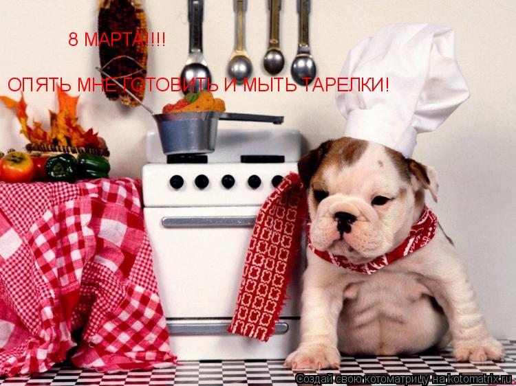 8 МАРТА!!!! ОПЯТЬ МНЕ ГОТОВИТЬ И МЫТЬ ТАРЕЛКИ!... Котоматрица: 8 МАРТА!!!! ОПЯТЬ МНЕ ГОТОВИТЬ И МЫТЬ ТАРЕЛКИ!