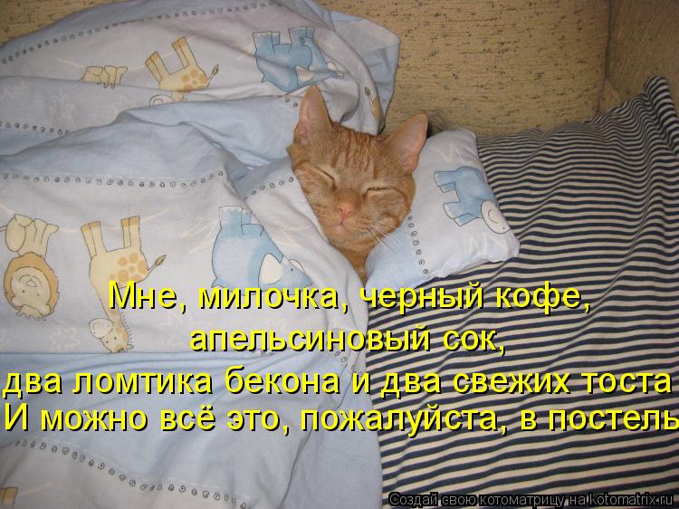 Мне, милочка, черный кофе, апельсиновый сок, два ломтика бекона и два свежих тоста И можно всё это, п... Котоматрица: Мне, милочка, черный кофе, апельсиновый сок, два ломтика бекона и два свежих тоста И можно всё это, пожалуйста, в постель.