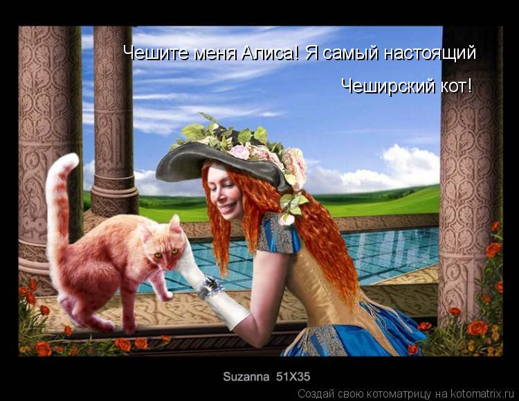 Чешите меня Алиса! Я самый настоящий Чеширский кот!... Котоматрица: Чешите меня Алиса! Я самый настоящий Чеширский кот!