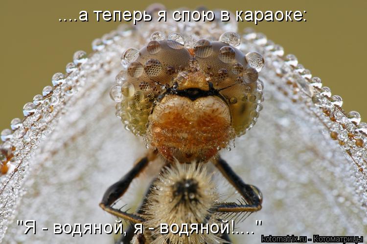 ....а теперь я спою в караоке: "Я - водяной, я - водяной!...."... Котоматрица: ....а теперь я спою в караоке: "Я - водяной, я - водяной!...."