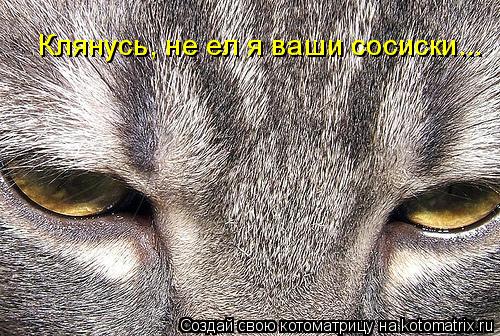 Клянусь, не ел я ваши сосиски...... Котоматрица: Клянусь, не ел я ваши сосиски...