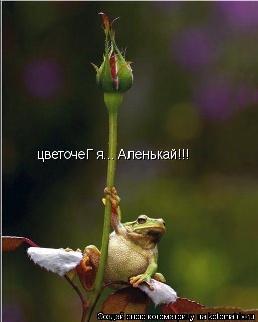 цветочеГ я... Аленькай!!!... Котоматрица: цветочеГ я... Аленькай!!!