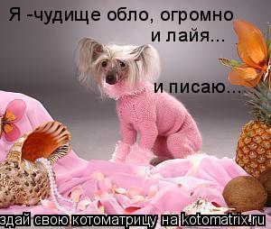 Я -чудище обло, огромно и лайя... и писаю...... Котоматрица: Я -чудище обло, огромно и лайя... и писаю...