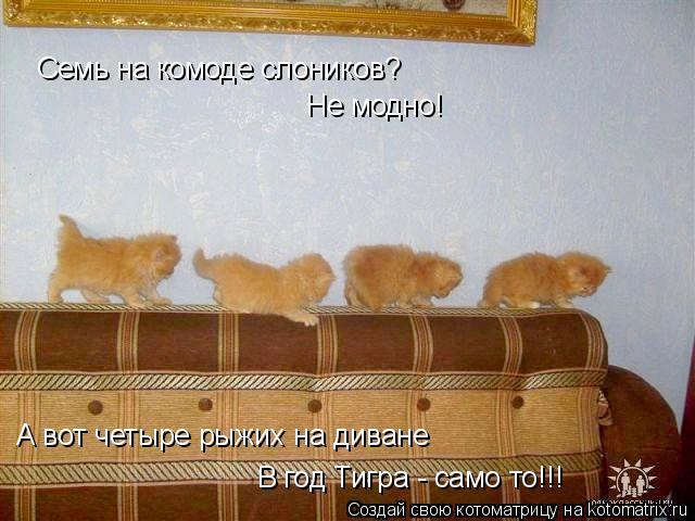 Семь на комоде слоников? Не модно! А вот четыре рыжих на диване В год Тигра - само то!!!... Котоматрица: Семь на комоде слоников? Не модно! А вот четыре рыжих на диване В год Тигра - само то!!!