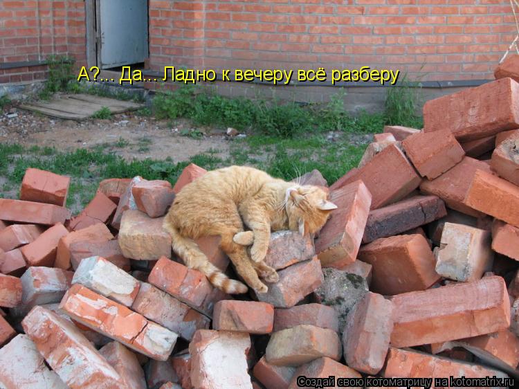 А?... Да... Ладно к вечеру всё разберу... Котоматрица: А?... Да... Ладно к вечеру всё разберу