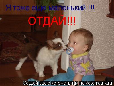 Я тоже еще маленький !!! ОТДАЙ!!!... Котоматрица: Я тоже еще маленький !!! ОТДАЙ!!!