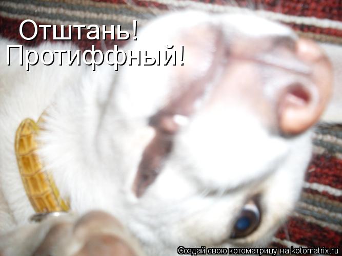 Отштань! Протиффный!... Котоматрица: Отштань! Протиффный!