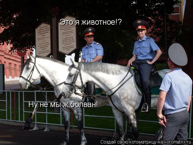 Это я животное!? Ну не мы ж,болван!... Котоматрица: Это я животное!? Ну не мы ж,болван!