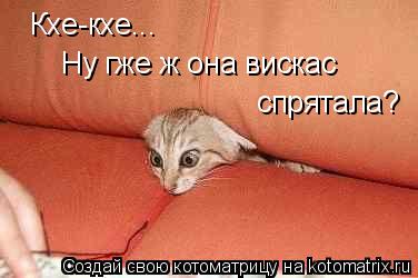 Кхе-кхе... Ну гже ж она вискас спрятала?... Котоматрица: Кхе-кхе... Ну гже ж она вискас спрятала?