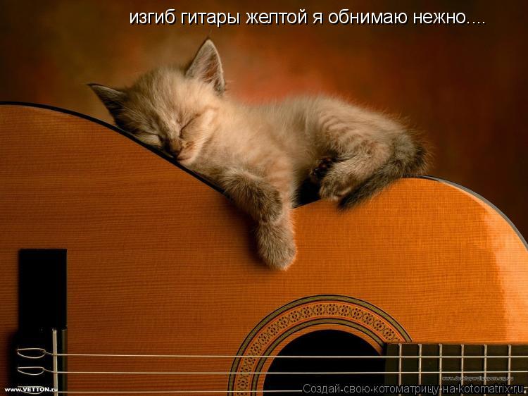 изгиб гитары желтой я обнимаю нежно....... Котоматрица: изгиб гитары желтой я обнимаю нежно....