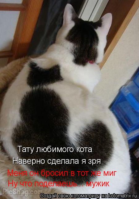 Тату любимого кота Наверно сделала я зря Меня он бросил в тот же миг Ну что поделаешь... мужик... Котоматрица: Тату любимого кота Наверно сделала я зря Меня он бросил в тот же миг Ну что поделаешь... мужик