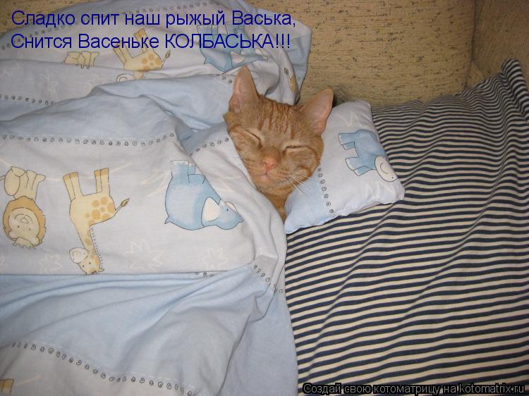 Сладко спит наш рыжый Васька, Снится Васеньке КОЛБАСЬКА!!!... Котоматрица: Сладко спит наш рыжый Васька, Снится Васеньке КОЛБАСЬКА!!!