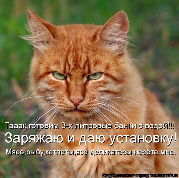 Тааак,готовим 3-х литровые банки с водой!!! Мясо,рыбу,котлеты,все деликатесы несёте мне.... Заряжаю и... Котоматрица: Тааак,готовим 3-х литровые банки с водой!!! Мясо,рыбу,котлеты,все деликатесы несёте мне.... Заряжаю и даю установку!!