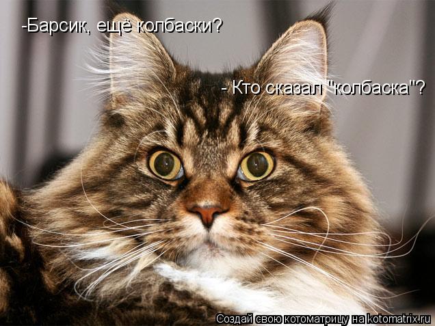 -Барсик, ещё колбаски? - Кто сказал "колбаска"?... Котоматрица: -Барсик, ещё колбаски? - Кто сказал "колбаска"?
