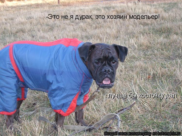 -Это не я дурак, это хозяин модельер! лучше бы косточку дал... Котоматрица: -Это не я дурак, это хозяин модельер! лучше бы косточку дал