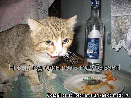 Новый год один раз в году бывает!... Котоматрица: Новый год один раз в году бывает!