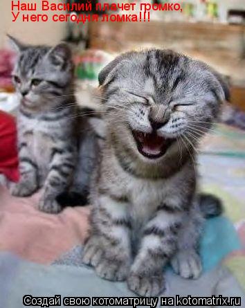 Наш Василий плачет громко, У него сегодня ломка!!!... Котоматрица: Наш Василий плачет громко, У него сегодня ломка!!!