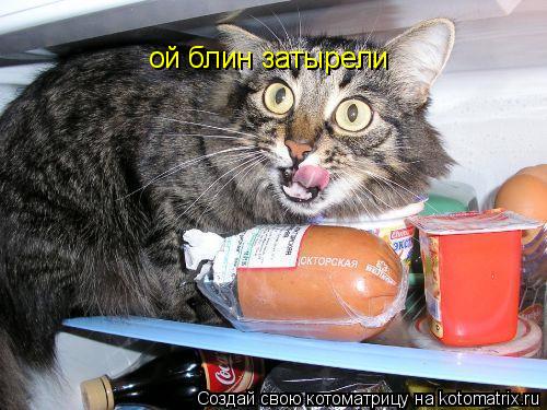 ой блин затырели... Котоматрица: ой блин затырели