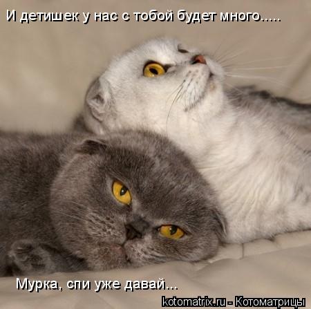 И детишек у нас с тобой будет много..... Мурка, спи уже давай...... Котоматрица: И детишек у нас с тобой будет много..... Мурка, спи уже давай...