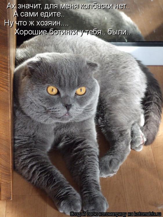 Ах значит, для меня колбаски нет.. А сами едите.. Ну что ж хозяин.... Хорошие ботинки у тебя.. были... Котоматрица: Ах значит, для меня колбаски нет.. А сами едите.. Ну что ж хозяин.... Хорошие ботинки у тебя.. были..