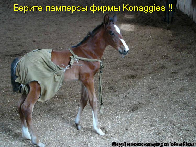 Берите памперсы фирмы Konaggies !!!... Котоматрица: Берите памперсы фирмы Konaggies !!!