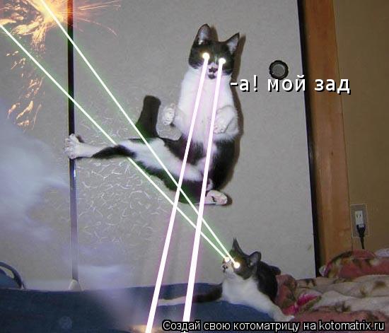 -а! мой зад... Котоматрица: -а! мой зад