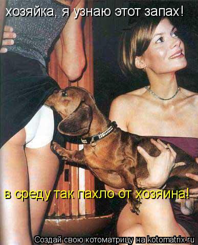 хозяйка, я узнаю этот запах! в среду так пахло от хозяина!... Котоматрица: хозяйка, я узнаю этот запах! в среду так пахло от хозяина!