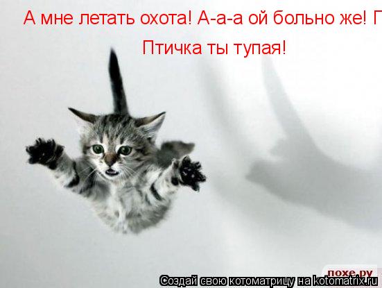 А мне летать охота! А-а-а ой больно же! Птичка ты тупая! А мне летать охота! А-а-а ой больно же! Птич... Котоматрица: А мне летать охота! А-а-а ой больно же! Птичка ты тупая! А мне летать охота! А-а-а ой больно же! Птичка ты тупая!