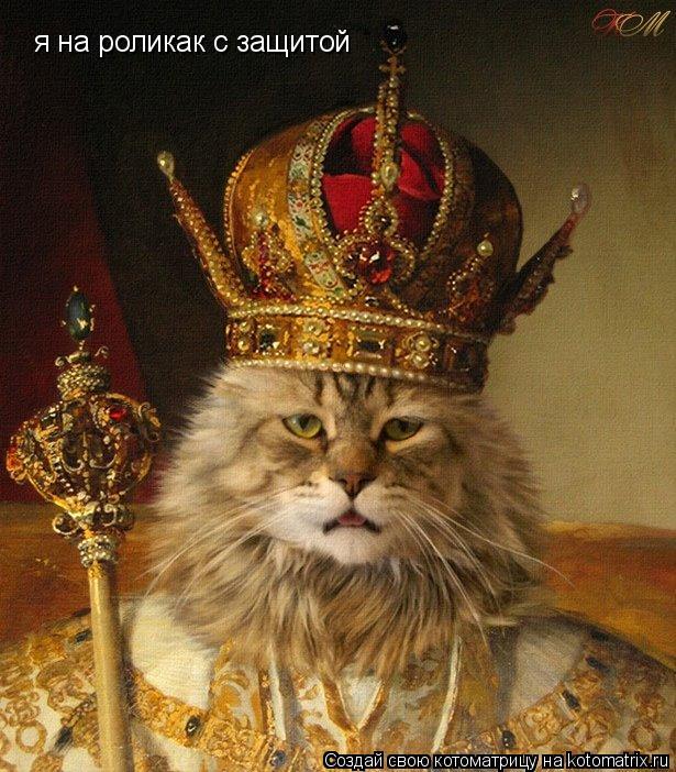 я на роликак с защитой... Котоматрица: я на роликак с защитой
