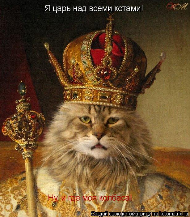 Я царь над всеми котами! Я царь над всеми котами! Ну, и где моя колбаса!... Котоматрица: Я царь над всеми котами! Я царь над всеми котами! Ну, и где моя колбаса!