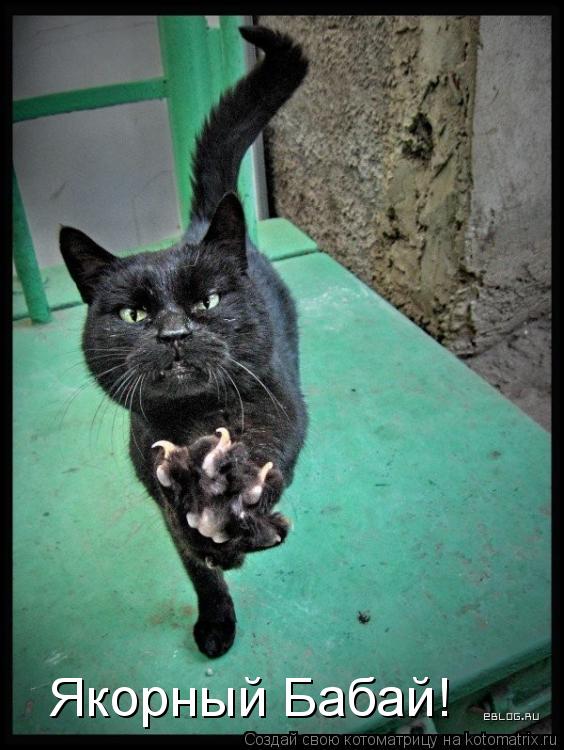 Якорный Бабай!... Котоматрица: Якорный Бабай!