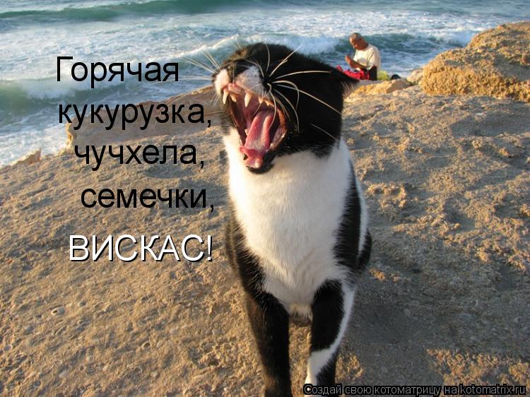 чучхела, семечки, Горячая кукурузка, ВИСКАС!... Котоматрица: чучхела, семечки, Горячая кукурузка, ВИСКАС!