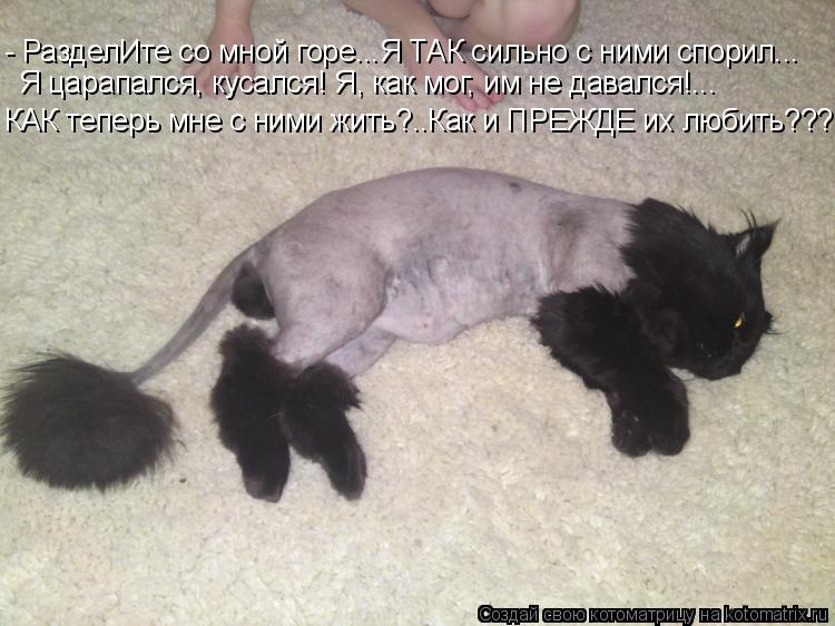 - РазделИте со мной горе...Я ТАК сильно с ними спорил... Я царапался, кусался! Я, как мог, им не дава... Котоматрица: - РазделИте со мной горе...Я ТАК сильно с ними спорил... Я царапался, кусался! Я, как мог, им не давался!... КАК теперь мне с ними жить?..Как и ПРЕЖД