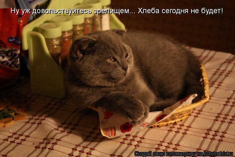 Котоматрица: Ну уж довольствуйтесь зрелищем... Хлеба сегодня не будет!