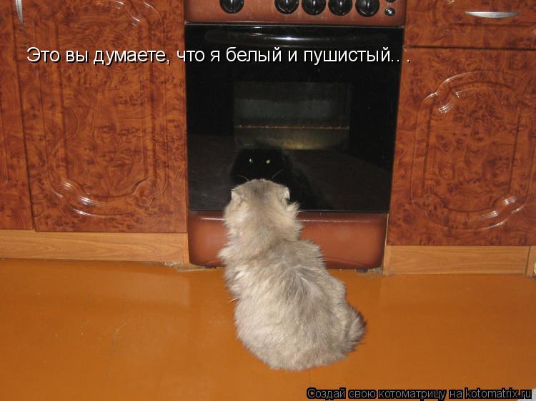 Это вы думаете, что я белый и пушистый.. .... Котоматрица: Это вы думаете, что я белый и пушистый.. .