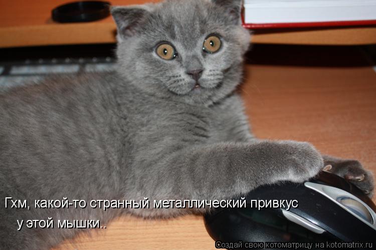 Гхм, какой-то странный металлический привкус у этой мышки..... Котоматрица: Гхм, какой-то странный металлический привкус у этой мышки..