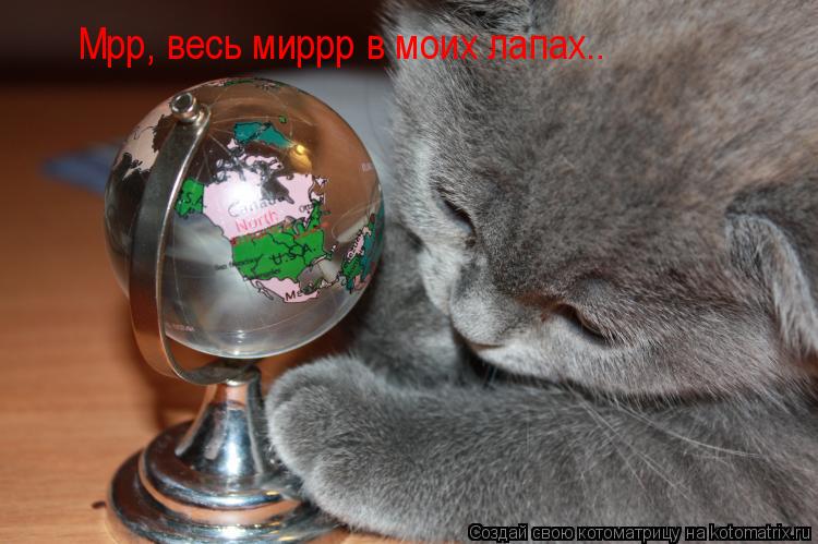 Мрр, весь миррр в моих лапах..... Котоматрица: Мрр, весь миррр в моих лапах..