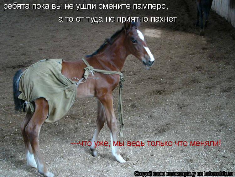 ребята пока вы не ушли смените памперс а то от туда не приятно пахнет , ---что уже, мы ведь только ч... Котоматрица: ребята пока вы не ушли смените памперс а то от туда не приятно пахнет , ---что уже, мы ведь только что меняли!