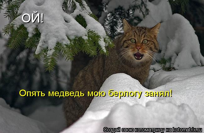 ОЙ! Опять медведь мою берлогу занял!... Котоматрица: ОЙ! Опять медведь мою берлогу занял!