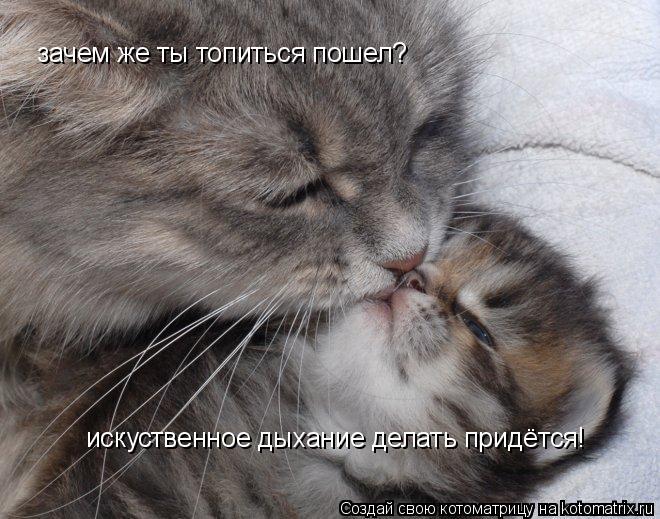 зачем же ты топиться пошел? искуственное дыхание делать придётся!... Котоматрица: зачем же ты топиться пошел? искуственное дыхание делать придётся!