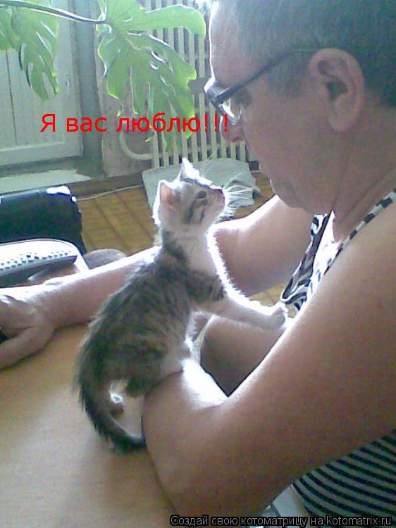 Я вас люблю!!! Я вас люблю!!!... Котоматрица: Я вас люблю!!! Я вас люблю!!!