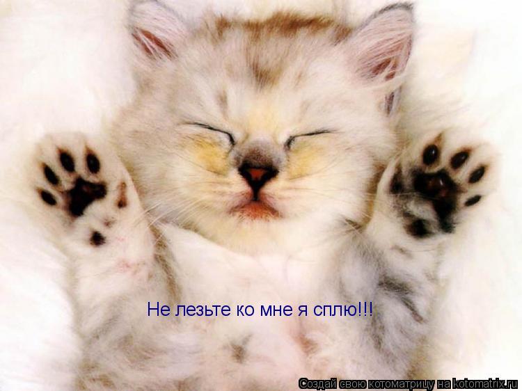 Не лезьте ко мне я сплю!!!... Котоматрица: Не лезьте ко мне я сплю!!!