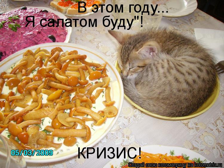 В этом году... Я салатом буду"! КРИЗИС!... Котоматрица: В этом году... Я салатом буду"! КРИЗИС!