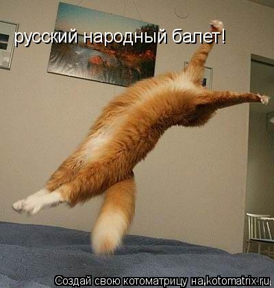 русский народный балет!... Котоматрица: русский народный балет!